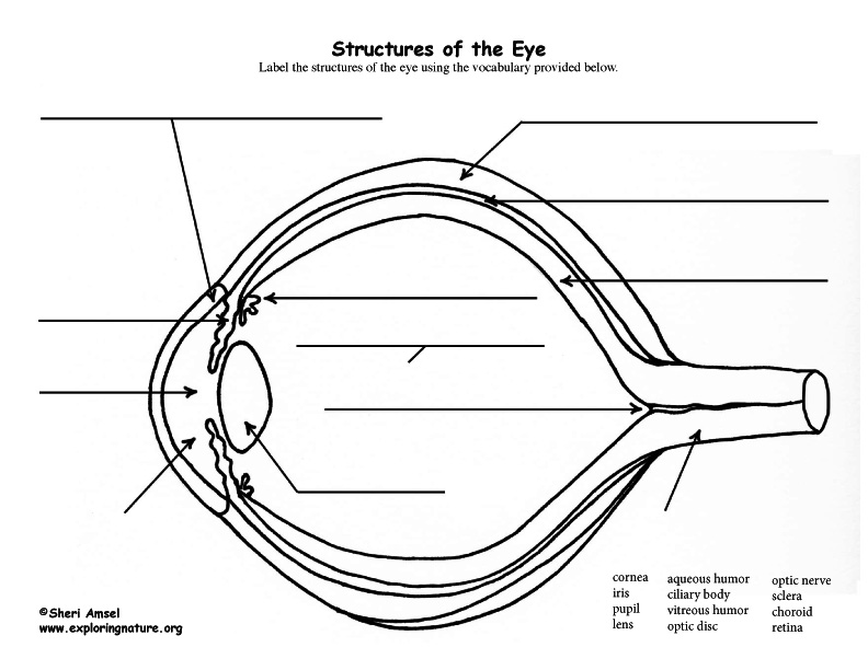 shop the organization of action a new synthesis