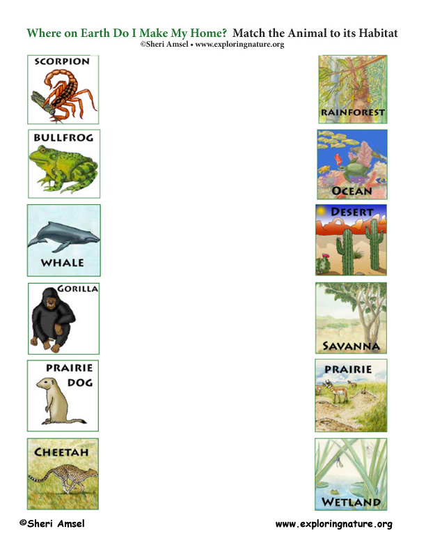 Match the Animals to Their Habitats Game