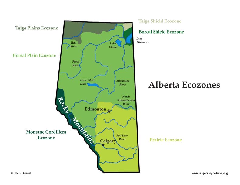 clipart alberta map - photo #27