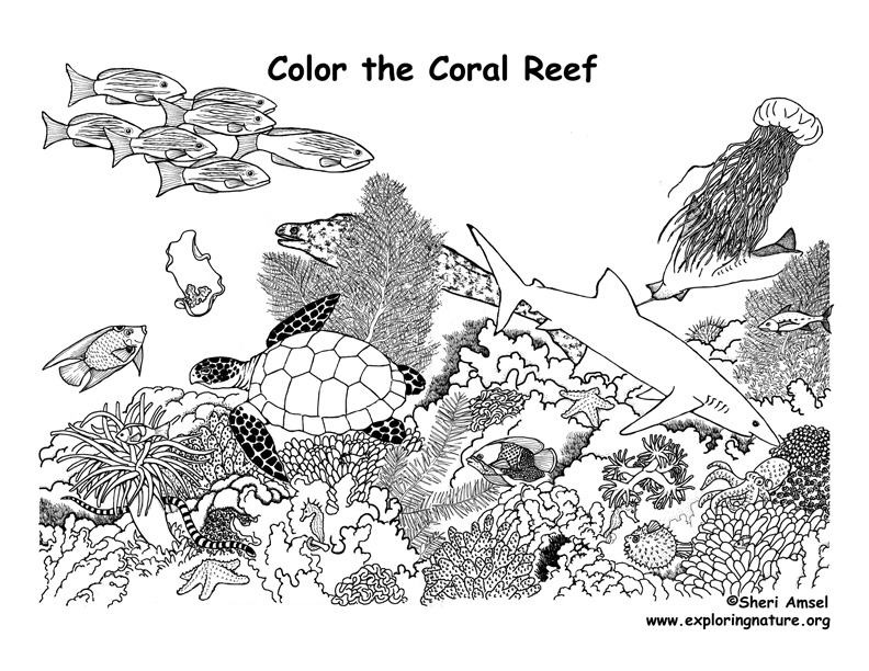 desert biome coloring pages - photo #13