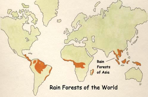 Asian Rainforest Map 52