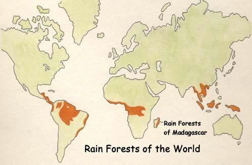 The Rainforest of Madagascar map of madagascar. The Rainforest of Madagascar