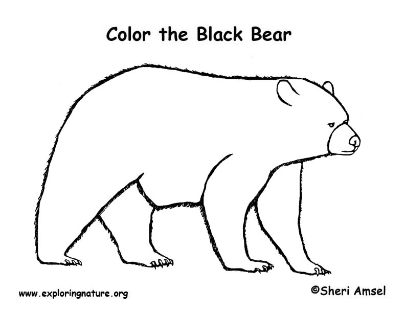 bear coloring pages for kids printable. free printable teddy ear