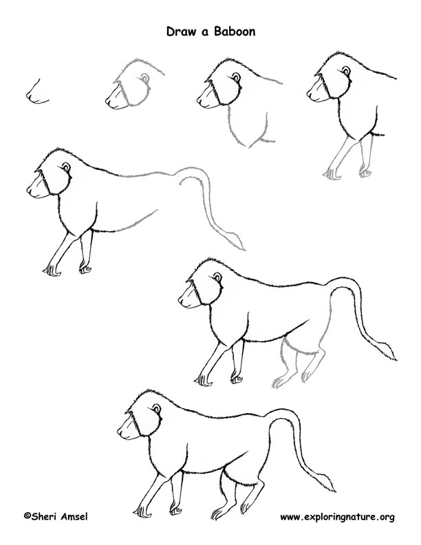 Draw Book