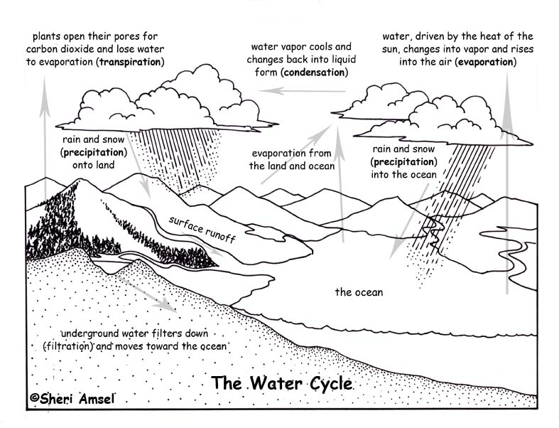 The Water Cycle Worksheet Pdf water cycle The Water Cycle Worksheet Pdf water cycle