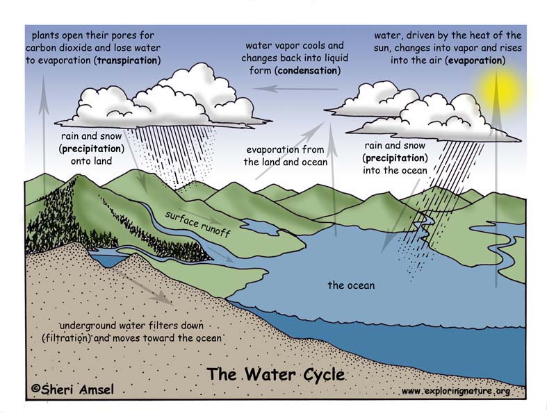 We have kept roughly the same amount of water on Earth as solid ice, 