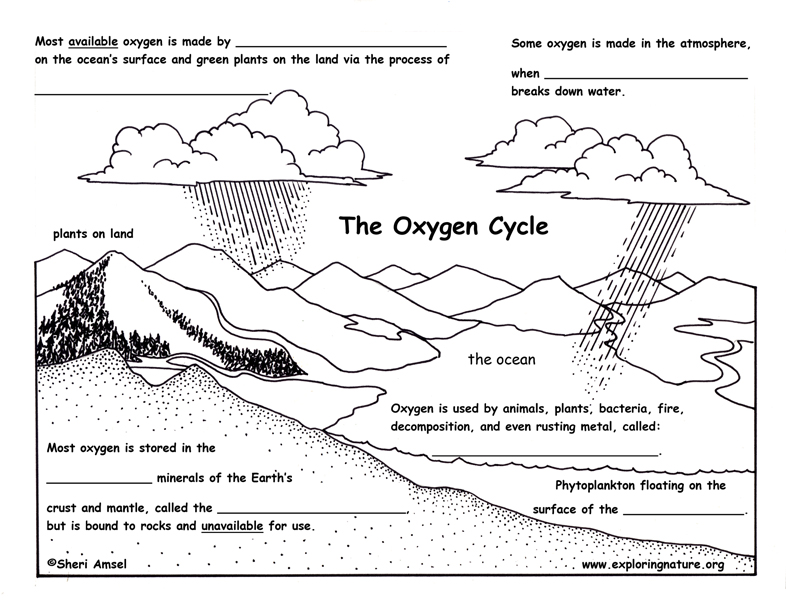 oxygen-cycle-description-and-assessment