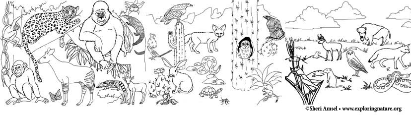 Free Animal Habitat Coloring Sheets – My Jaksuka Blog
