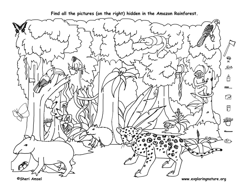 object search coloring pages and find objects - photo #8