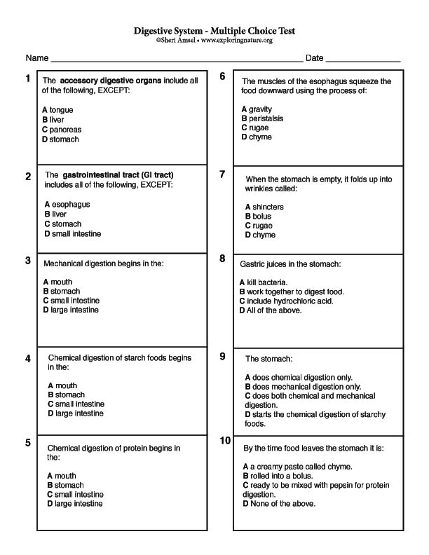 Multiple School Health Program