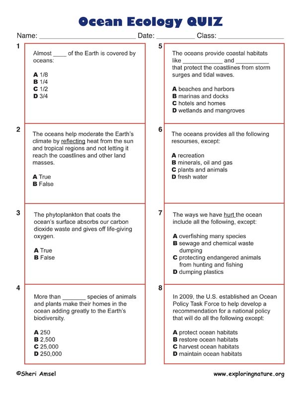 Quiz Test The Nature Of Science For Physical Science Quiz Test The Nature Of Science For Physical Science
