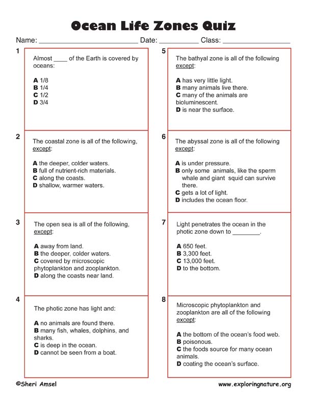 Printable Multiple Choice Trivia Quiz Questions All