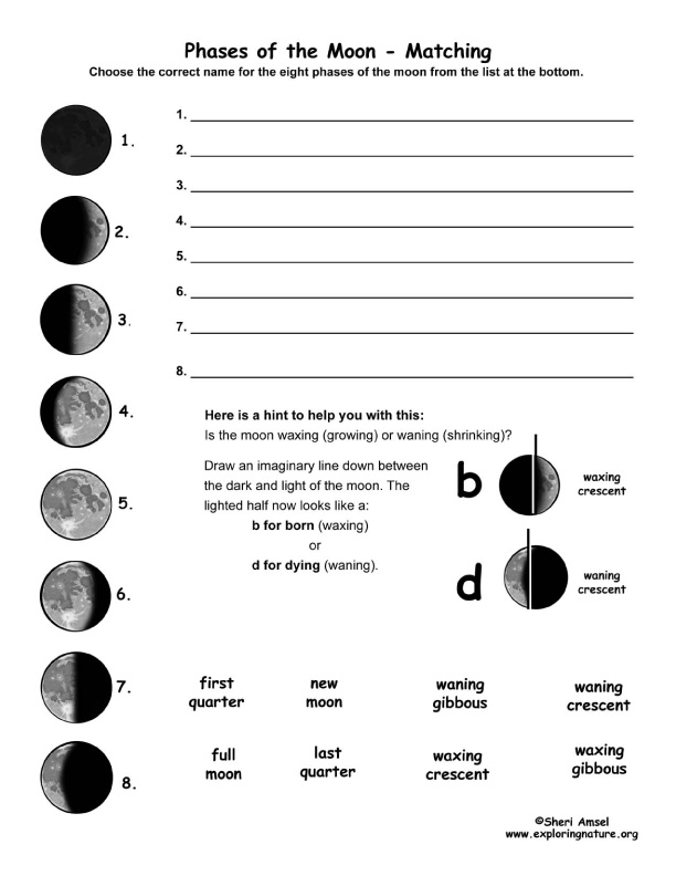 moon-phases-worksheet-answer-key-leading
