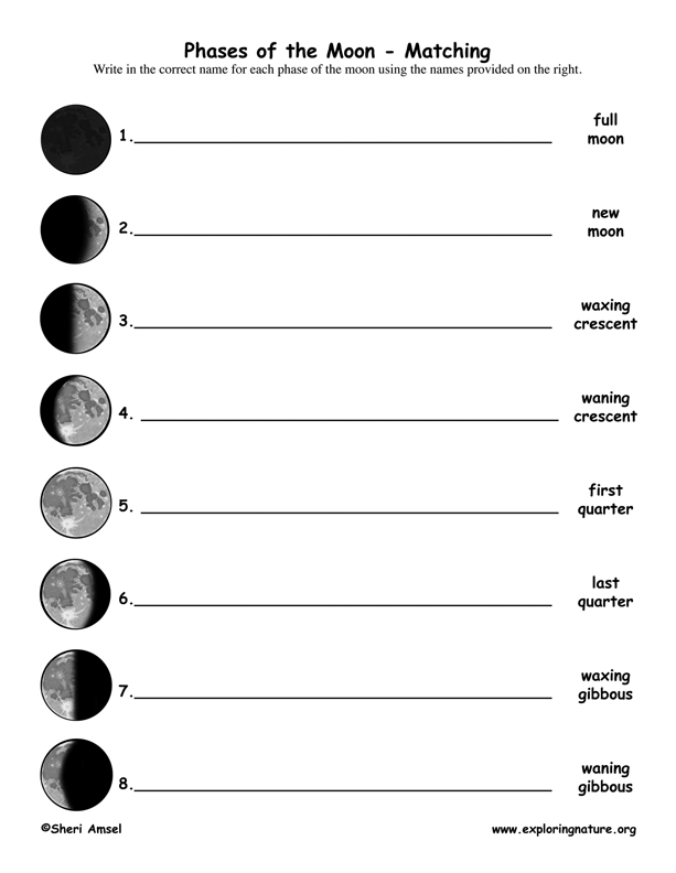 Phases of the Moon Worksheet