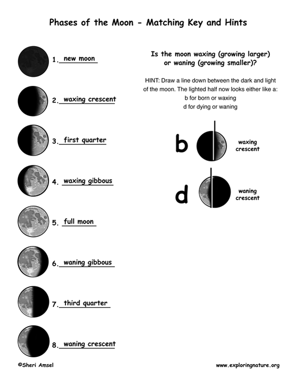 Phases of the Moon Explained