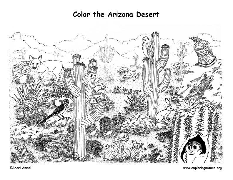 habitat coloring pages - photo #19