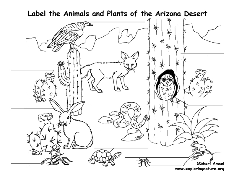habitats coloring pages for kids - photo #5