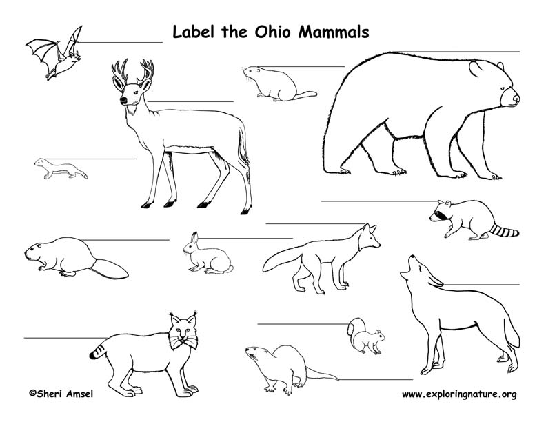 Ohio