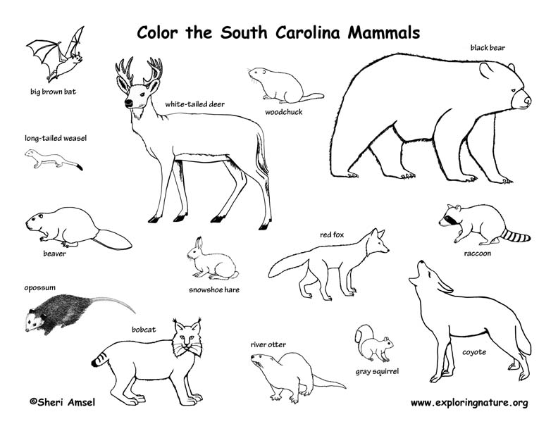 South Carolina