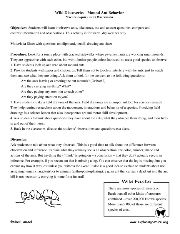 Ant Inquiry - Read, Observe, Record