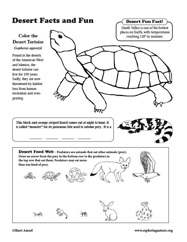 desert-activity-sheet