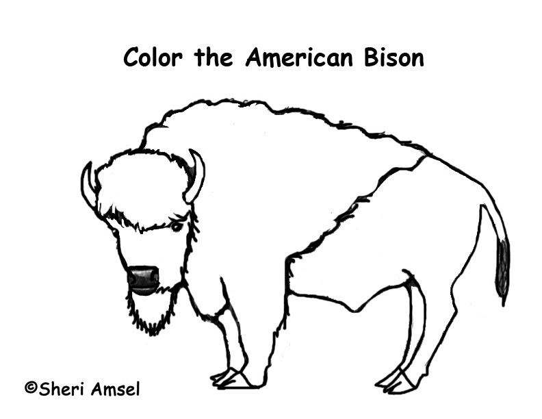 capybara coloring pages - photo #10