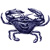 Crabs, Lobsters & Barnacles (Crustaceans)