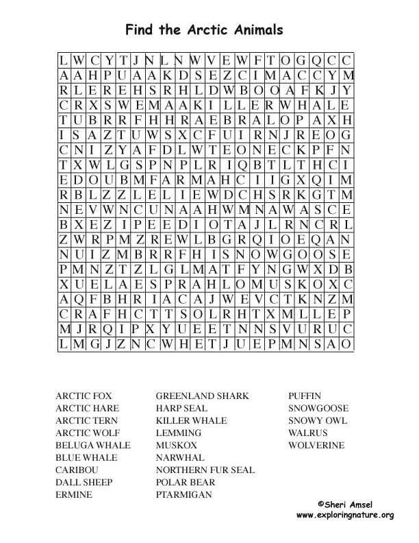 wordsearch for kids. printable word searches for