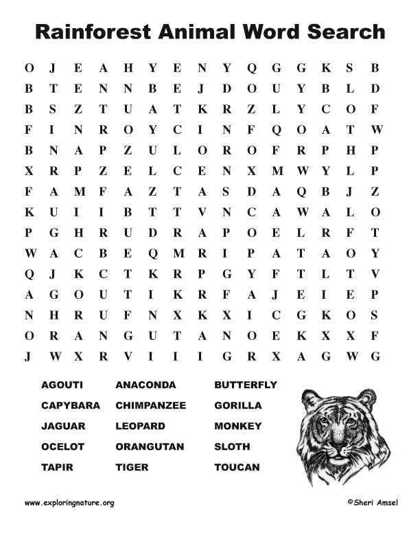 Rainforest Animals Information