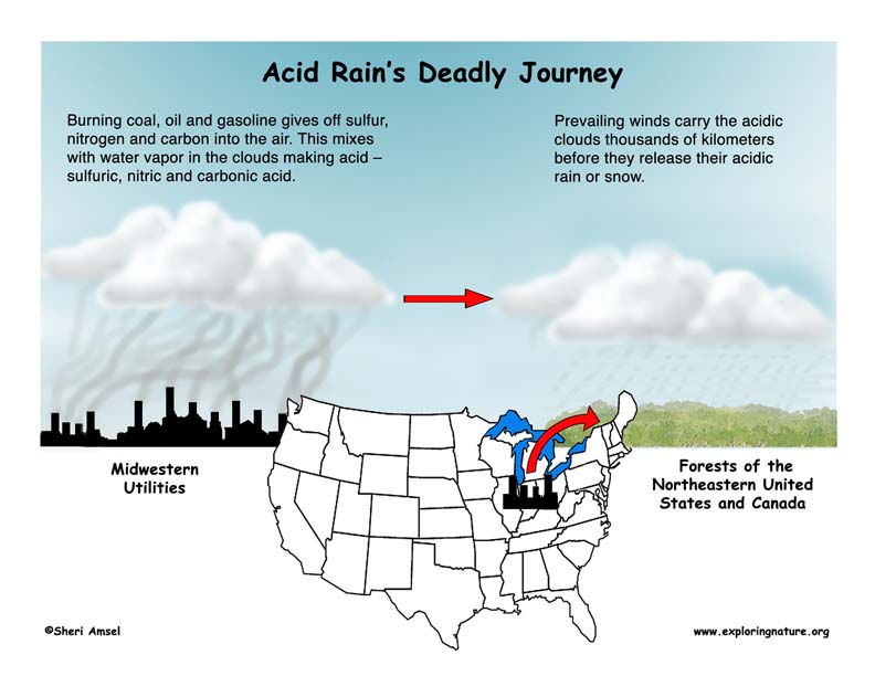 Acid Rain