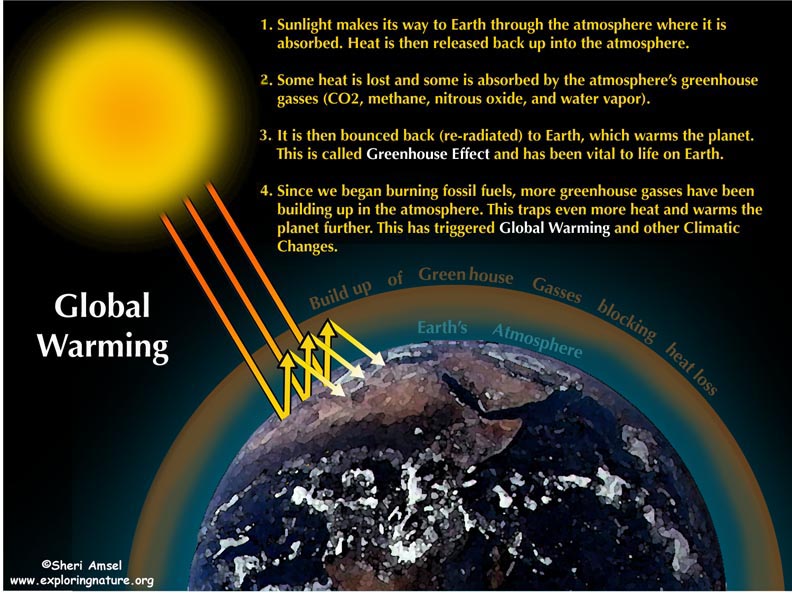 Global Warming poster