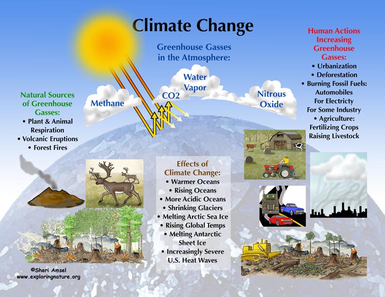 Global Warming And Climate Change Global Warming And Climate Change