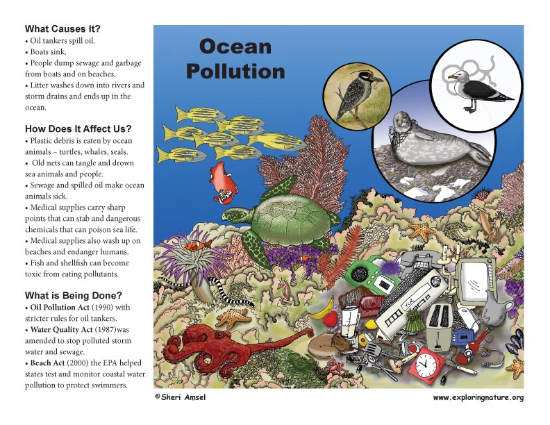 Ocean Pollution Questions from School Kids Ocean Pollution Questions from School Kids