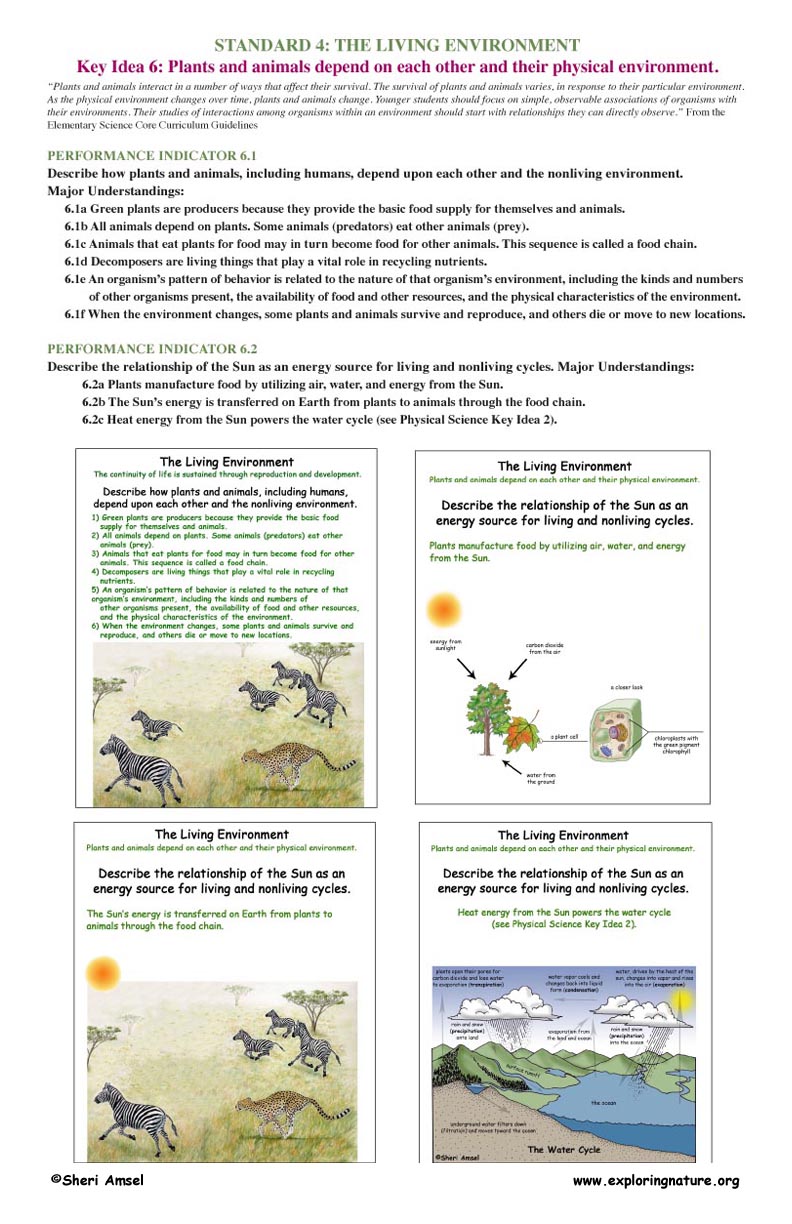 Key Idea 6: Plants and animals depend on each other and their physical environment. Key Idea 6: Plants and animals depend on each other and their physical environment.