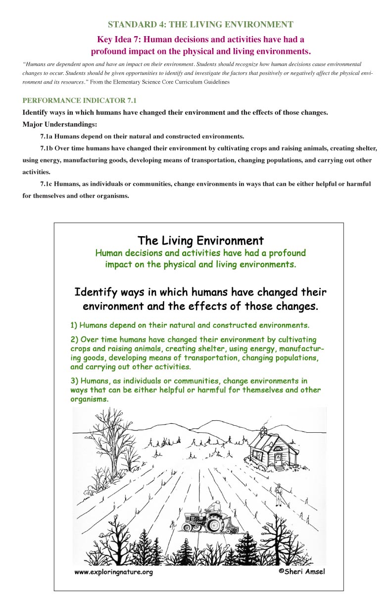 <p><strong>Key Idea 7:</strong> Human decisions and activities have had a <br>profound impact on the physical and living environments.<br></p>