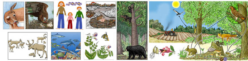 Disciplinary Core List of Standards (NGSS) for K-2 Life Science with Illustrated Posters