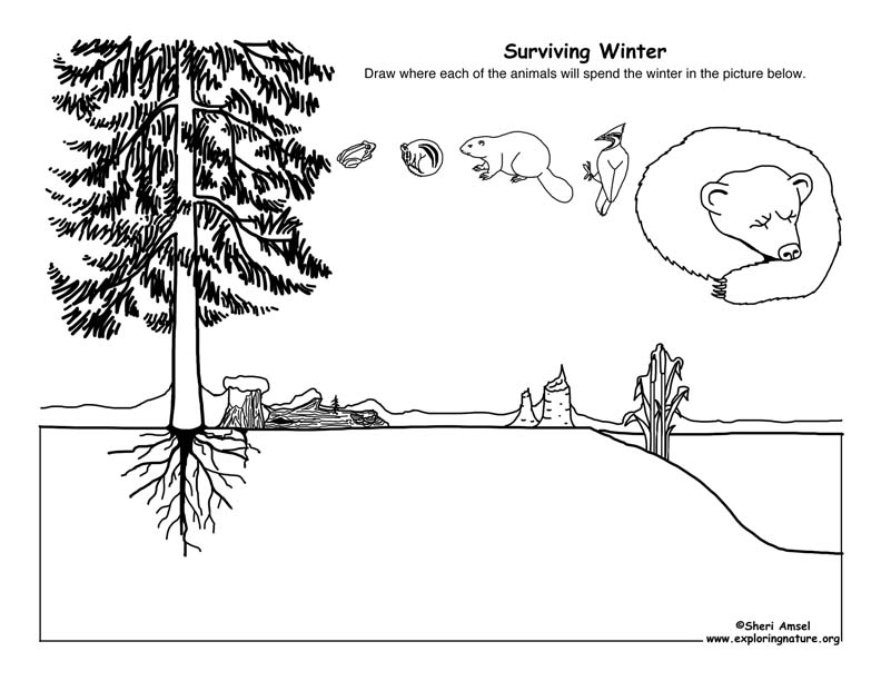 Surviving Winter Drawing Activity
