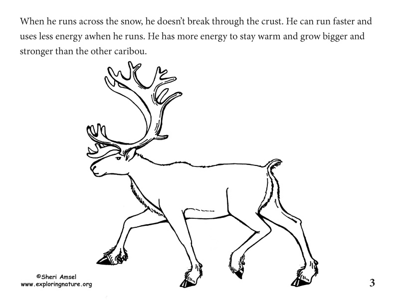 Adaptation Illustrated for K-5, caribou adaptation