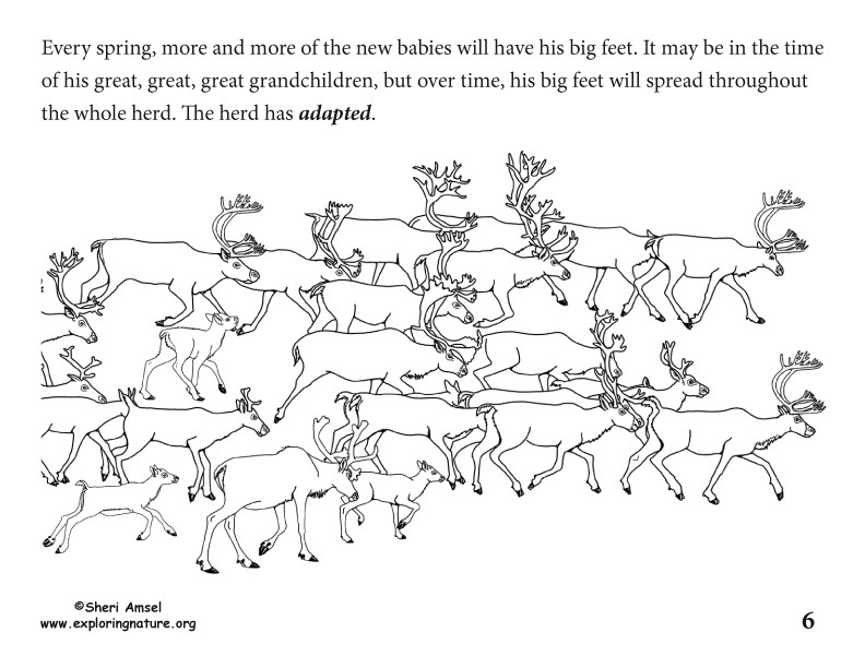 Adaptation Illustrated for K-5, caribou adaptation