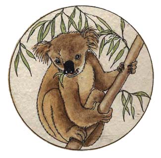 Adaptations of the Koala
