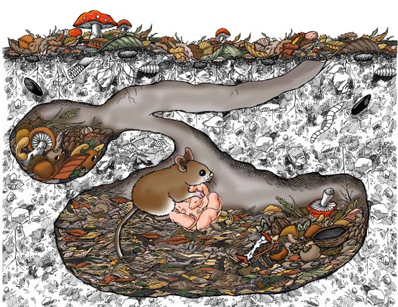 Helping Baby Survive