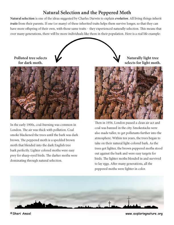 LS4.B: Natural Selection and LS4.C: Adaptation (MS-LS4 Biological