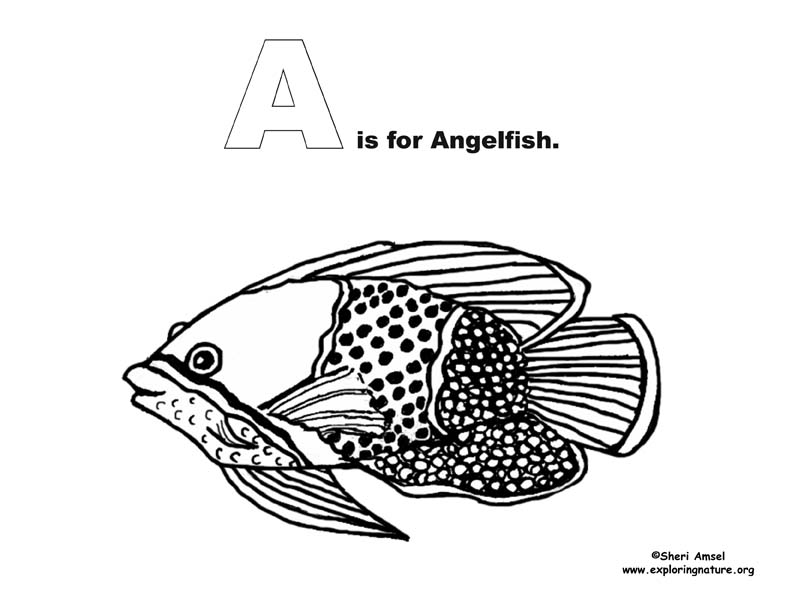 Ocean Alphabet Coloring Book