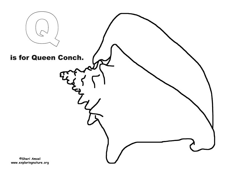 Download Ocean Alphabet Coloring Book