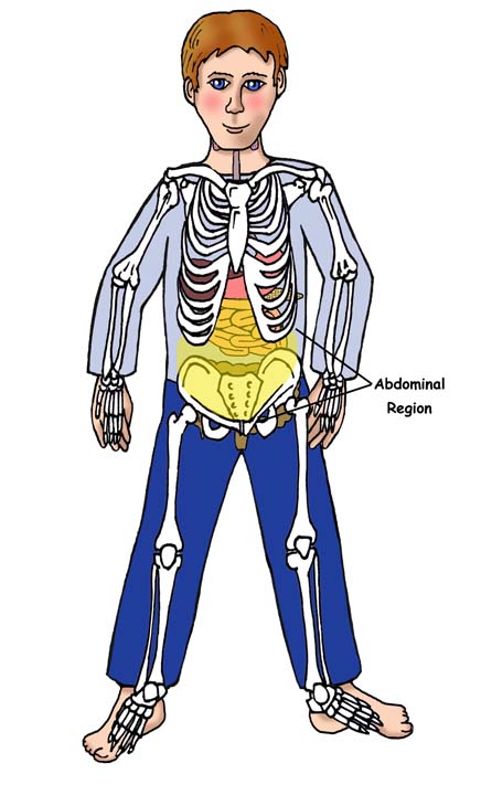 abdominal