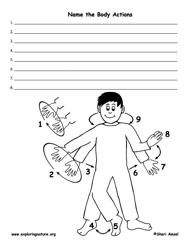 Body Actions