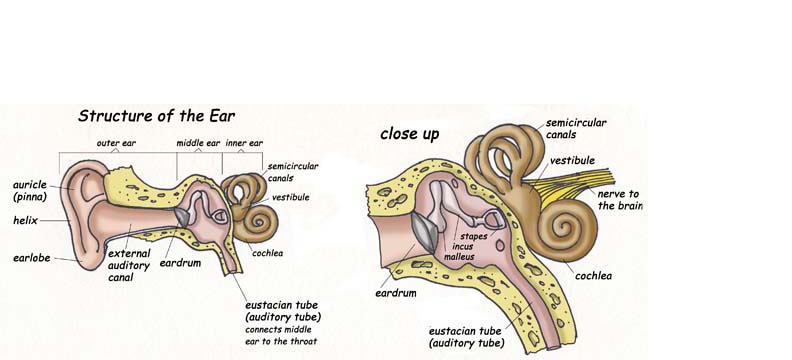 Hearing