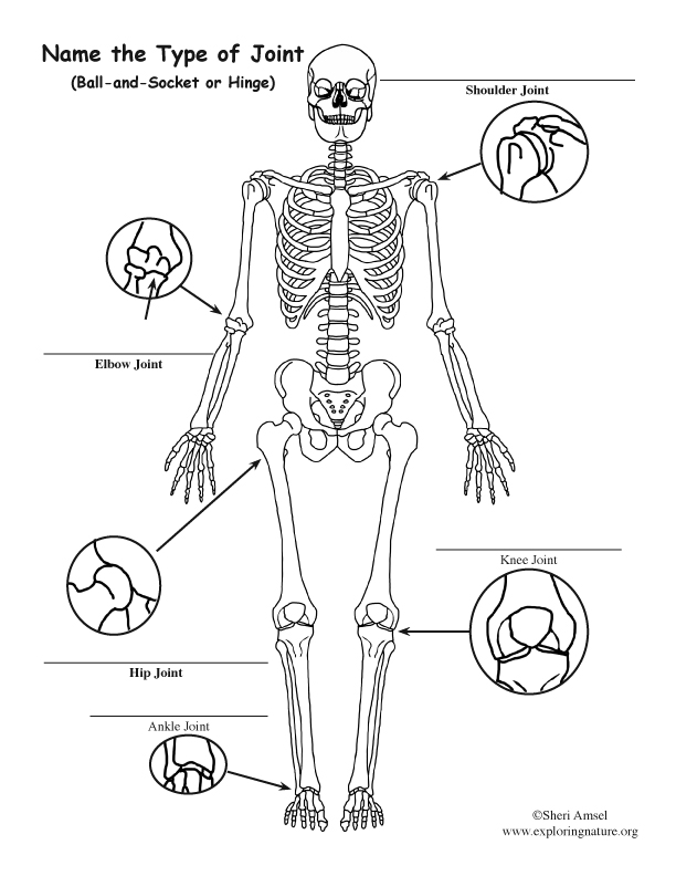 types of joints assignment pdf