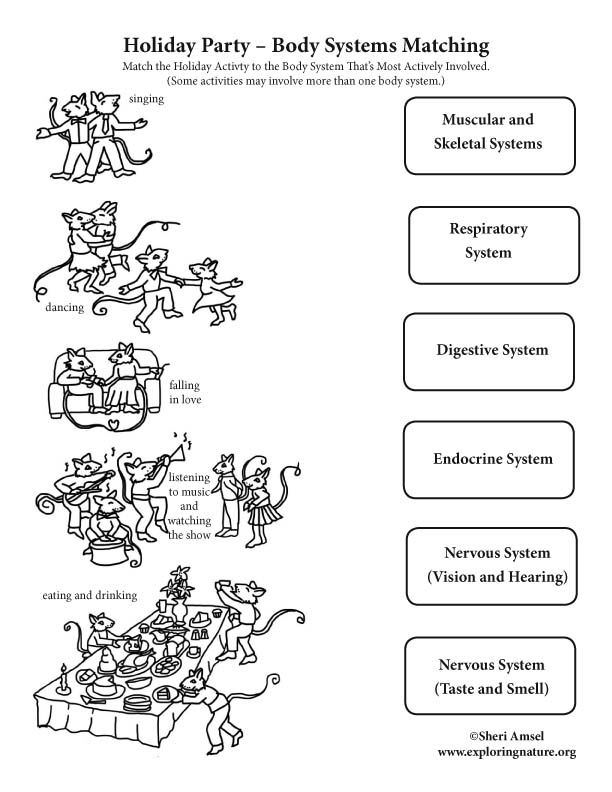 Holiday Party – Body Systems Matching
