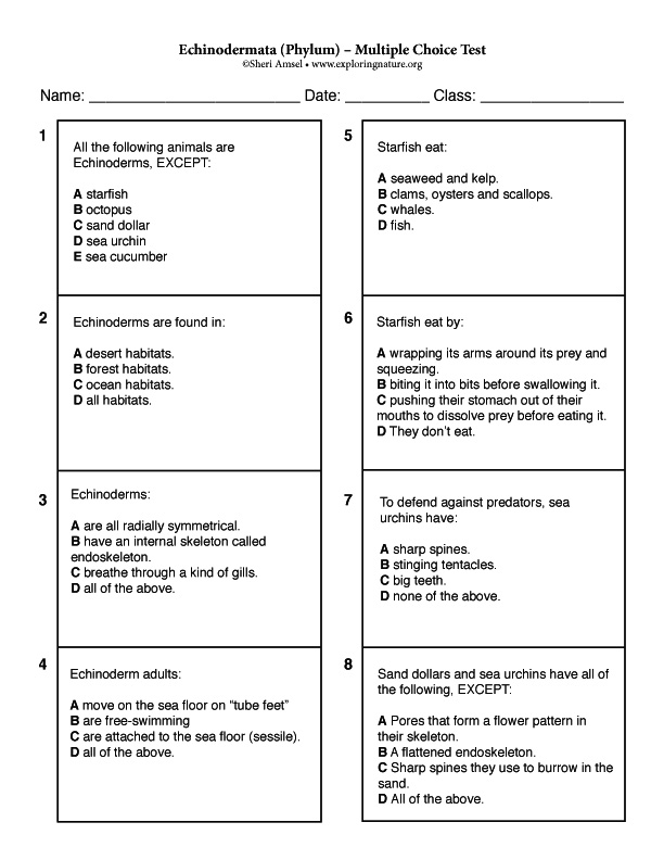 Echinodermata (Phylum) – Multiple Choice Test